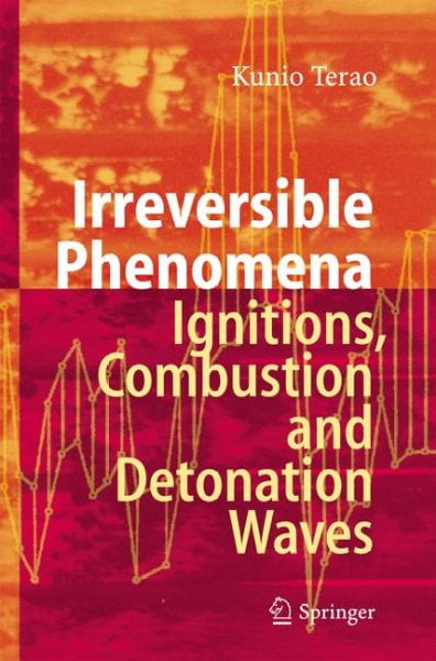 Irreversible phenomena ignitions, combustion, and detonation waves